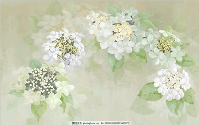 花卉插畫與苗木 藝術與自然的詩意交融